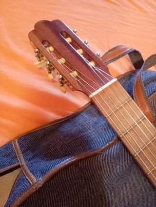 Guitarra española con su funda