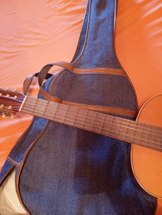 Guitarra española con su funda