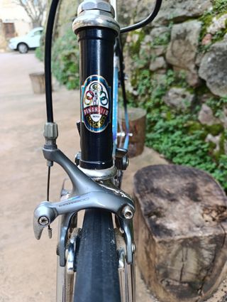 Pinarello 70 clásica talla 55