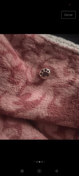 Pandora moments+ 3 charms original💜