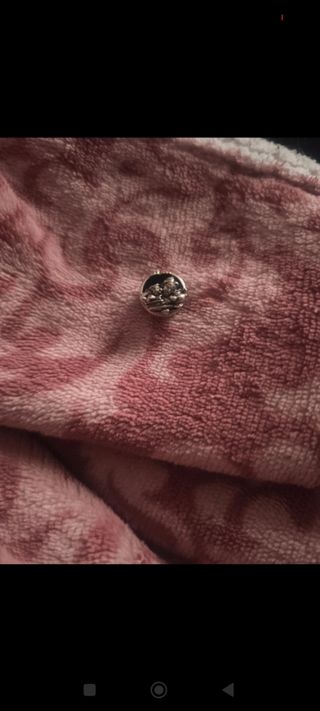 Pandora moments+ 3 charms original💜