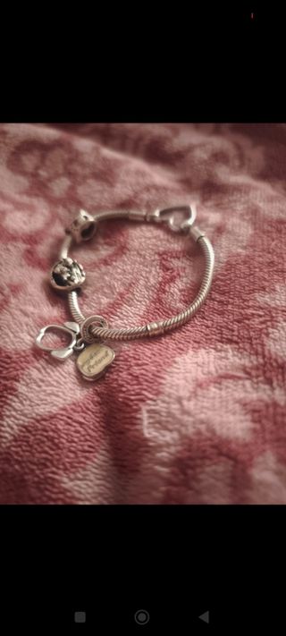 Pandora moments+ 3 charms original💜