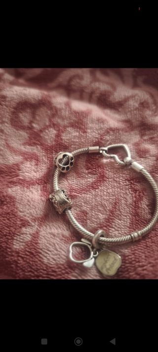 Pandora moments+ 3 charms original💜