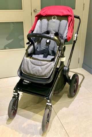 Bugaboo fox