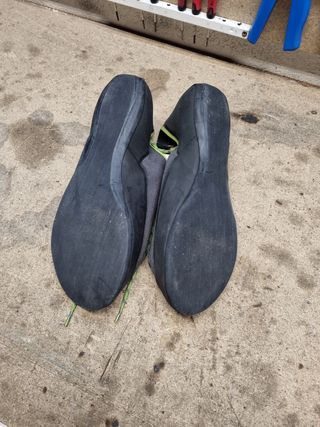 Pies de gato