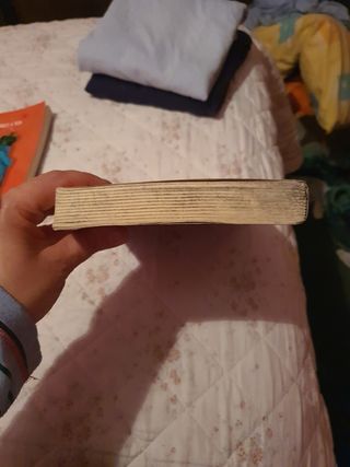 DON QUIJOTE DE LA MANCHA (adaptación para estudiantes) (Clasicos para estudiantes/ Classics for Students) (Spanish Edition)