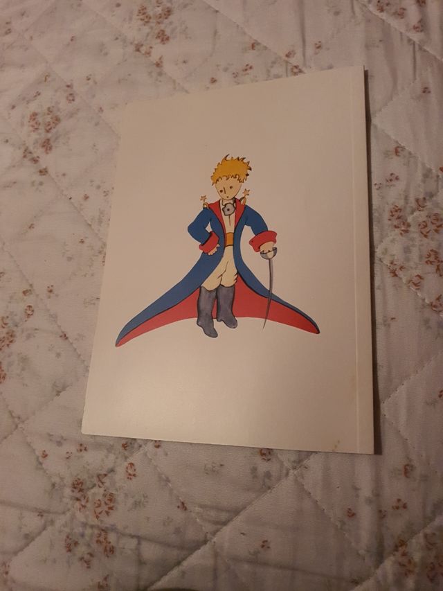 Libro el Principito