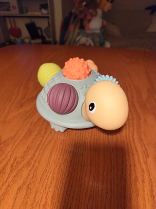 Gioco bambini sensoriale tartaruga