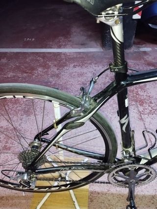 Bicicleta specialized roubaix