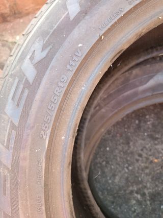 Pirelli Neumáticos 255-55-19