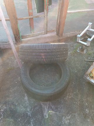 Pirelli Neumáticos 255-55-19