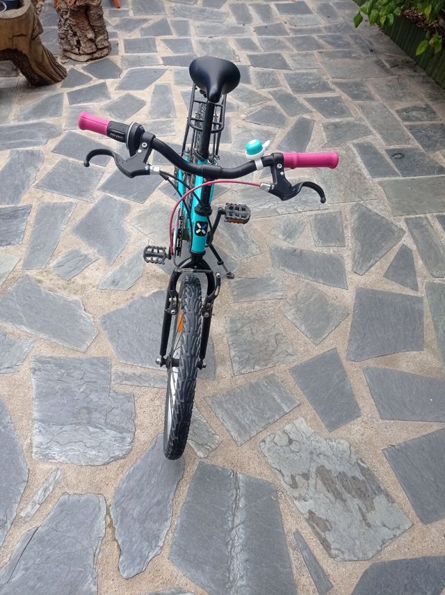 Bicicleta de 20 pulgadas
