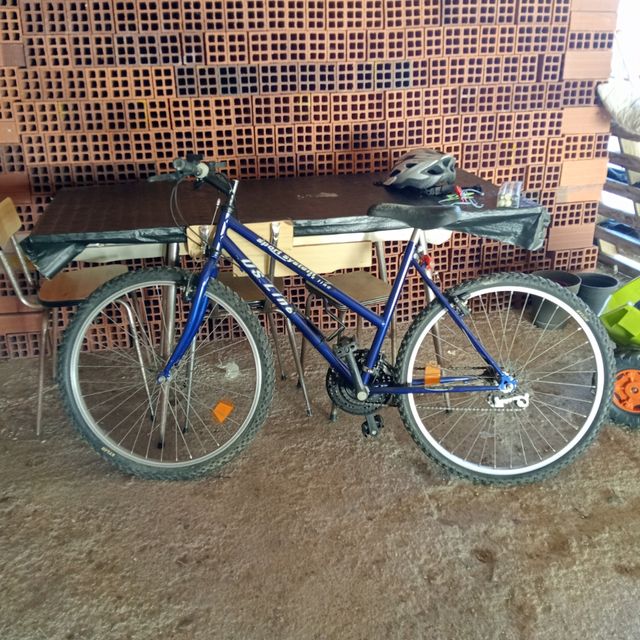 Bicicleta de ciudad