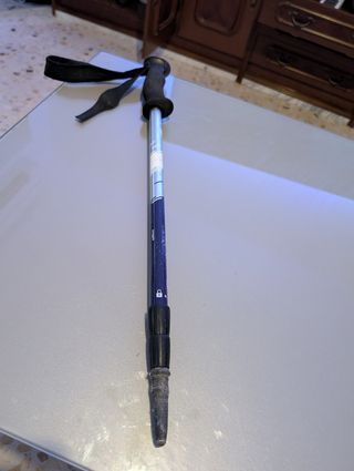 Bastón telescópico Forclaz 500