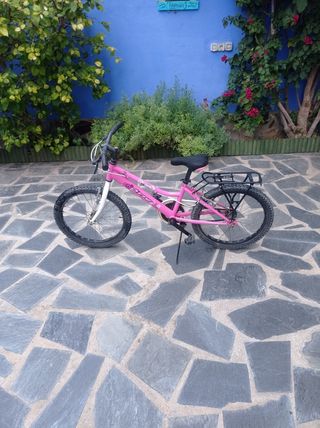 Bicicleta de 20 pulgadas 