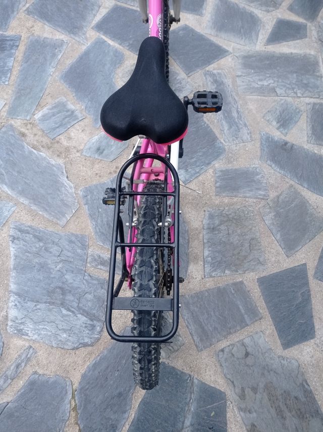 Bicicleta de 20 pulgadas