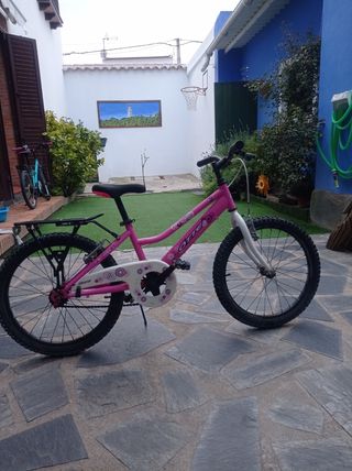 Bicicleta de 20 pulgadas 