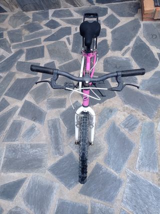 Bicicleta de 20 pulgadas 