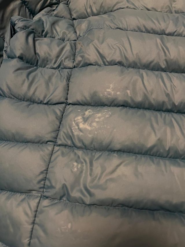 Plumas turquesa chica