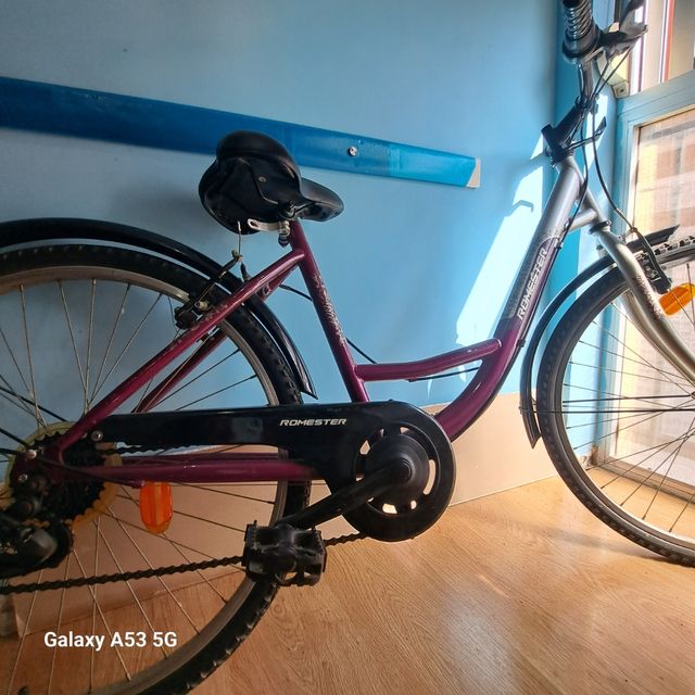 Bicicleta (no adulto)