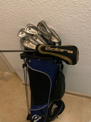 Bolsa y palos de Golf