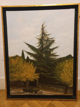 Óleo sobre lienzo. Árboles 