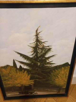 Óleo sobre lienzo. Árboles 