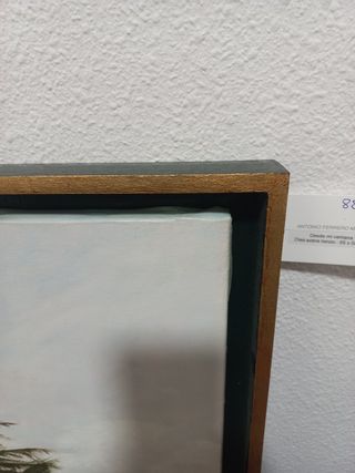 Óleo sobre lienzo. Árboles 