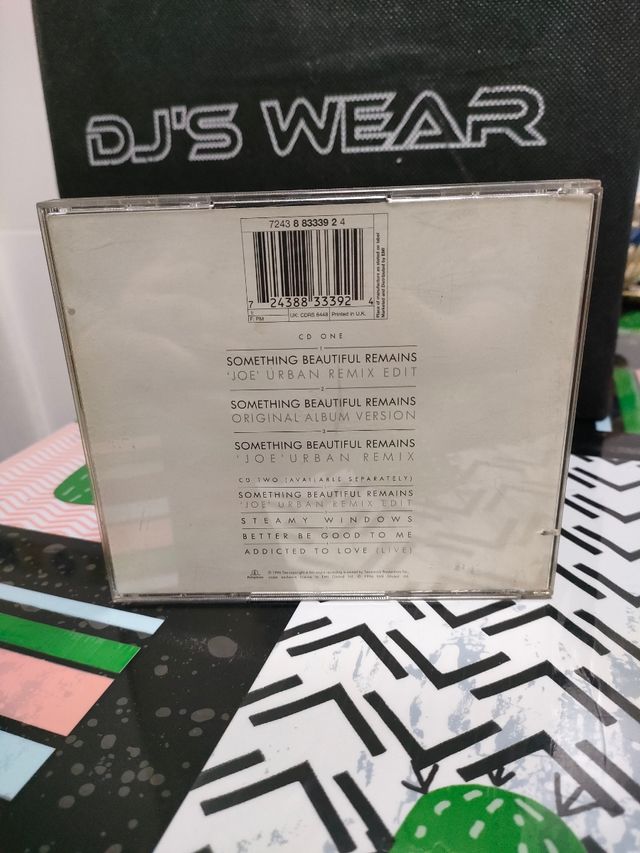 TINA TURNER SOMETHING BEAUTIFUL REMAINS