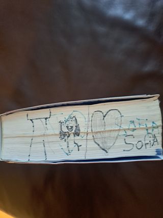 Diccionario de Primaria (Spanish and English Edition)