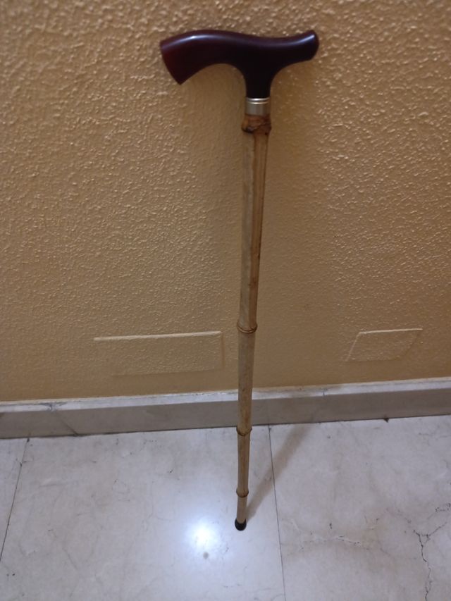 Bastón de paseo