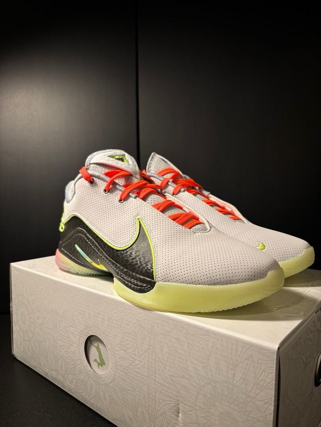 Nike Lebron 22 “Crown Jewel” 47.5