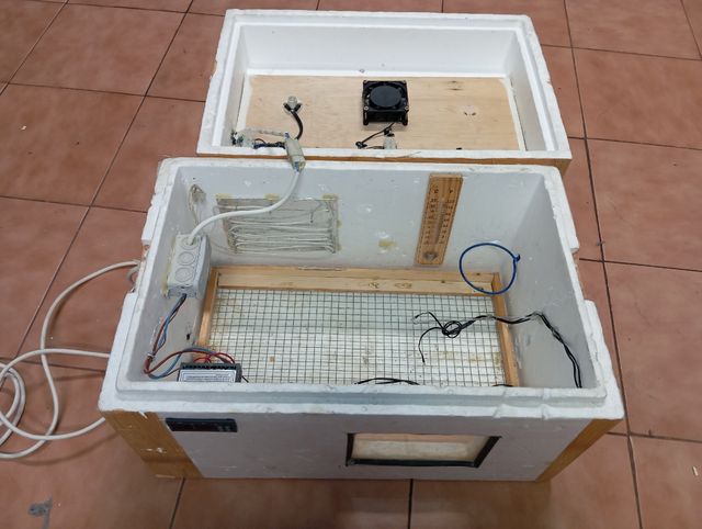 Incubadora casera para huevos