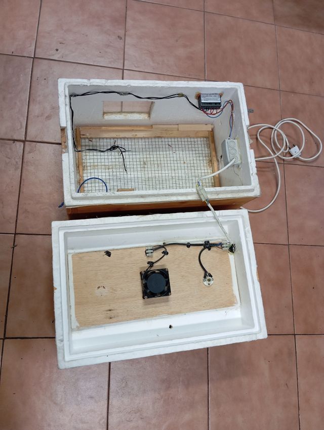 Incubadora casera para huevos