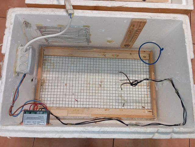 Incubadora casera para huevos