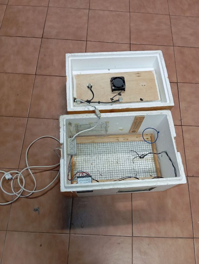 Incubadora casera para huevos