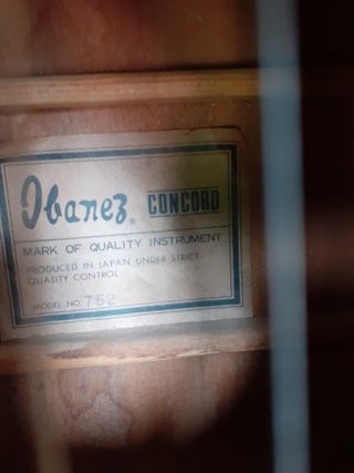 Guitarra Ibanez Concord Black Beauty