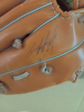 Guantes de beisbol profesional