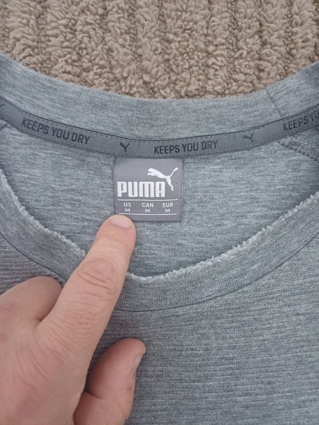 Chandal Puma