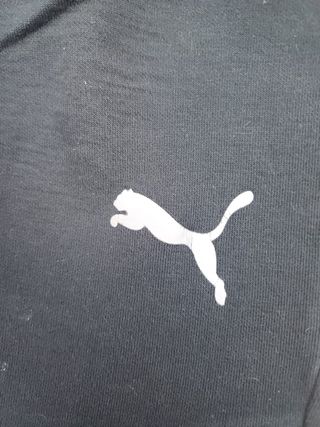 Chandal Puma