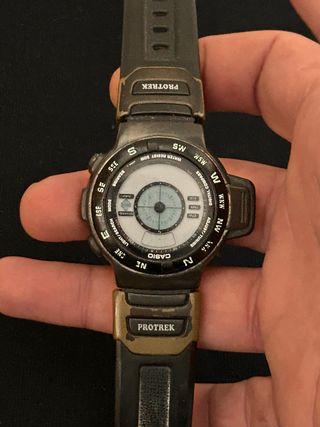 Casio cpw100