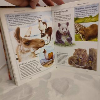 365 CURIOSIDADES DE LOS ANIMALES.TODOLIB