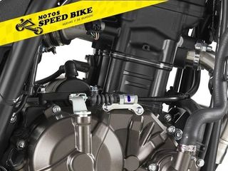 RIEJU CENTURY 125 nueva