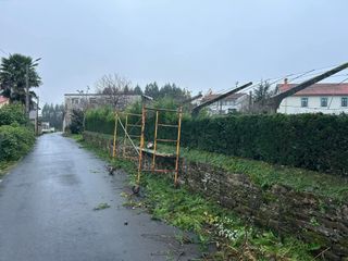Servicios de jardinería 