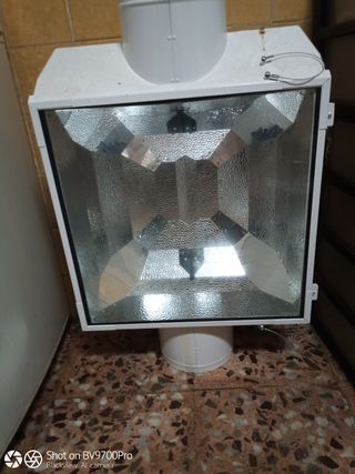 Iluminaria para cultivo .