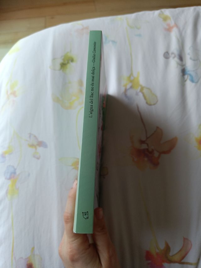 L'aigua del llac no és mai dolça