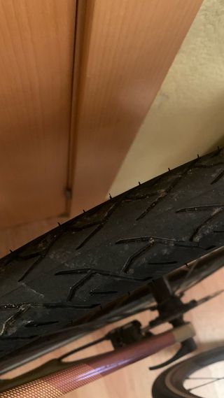 Cubierta gravel 42mm cycle dt sport