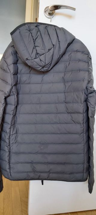 Plumifero Adidas