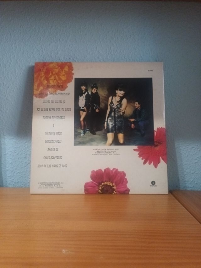 Greta y los Garbo vinilo LP