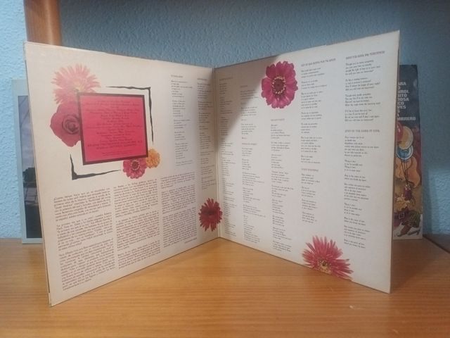 Greta y los Garbo vinilo LP